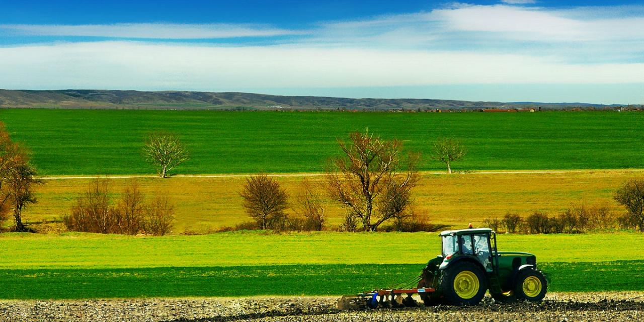 investissement-agricole